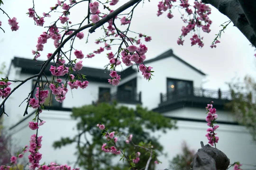 微信圖片_20200601094338.jpg
