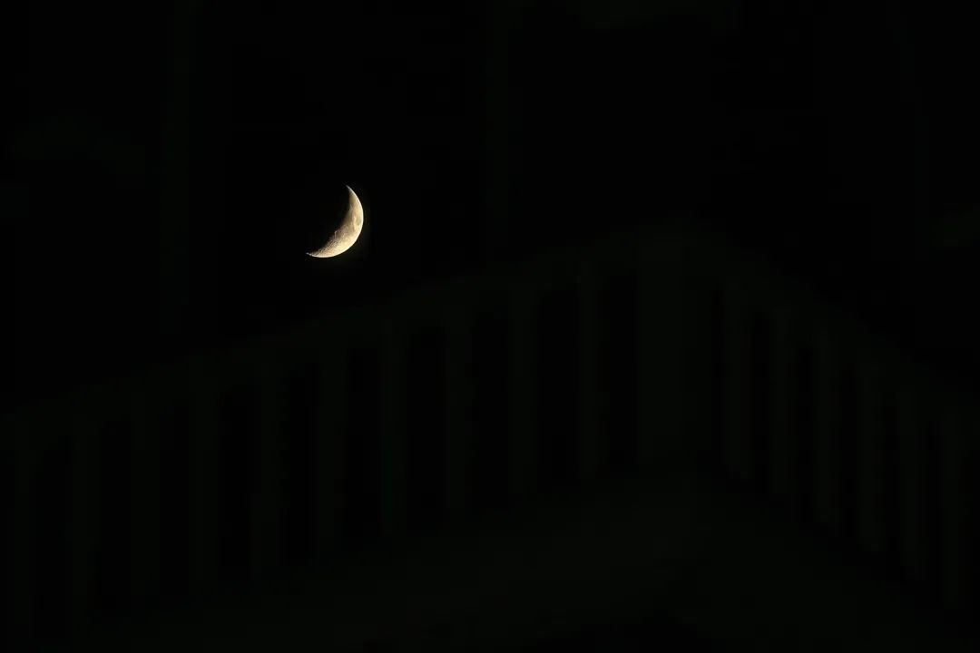 微信圖片_20200727085806.jpg